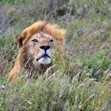 Dume Africa Trails Kenya _DSC0162 48