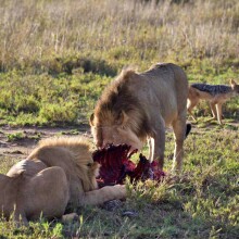 Dume Africa Trails Kenya _DSC0102 34