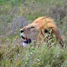 Dume Africa Trails Kenya _DSC0163 49